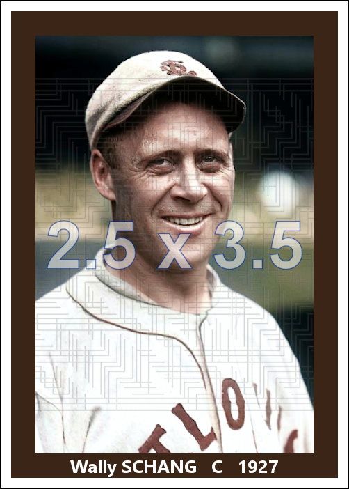 Wally Schang - 1927 St. Louis Browns - choose a size & style