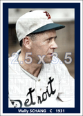 Wally Schang - 1931 Detroit Tigers - choose a size & style