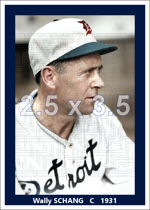 Wally Schang - 1931 Detroit Tigers - choose a size & style