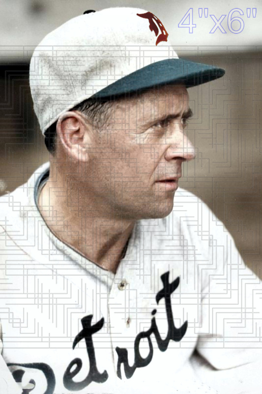 Wally Schang - 1931 Detroit Tigers - choose a size & style