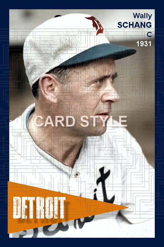 Wally Schang - 1931 Detroit Tigers - choose a size & style