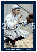 Walt Alexander - 1916 New York Yankees - choose a size & style