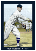Walt Tauscher - 1931 Washington Senators - choose a size & style