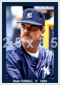 Walt Terrell - 1989 New York Yankees - choose a size & style