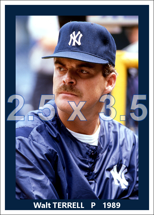 Walt Terrell - 1989 New York Yankees - choose a size & style