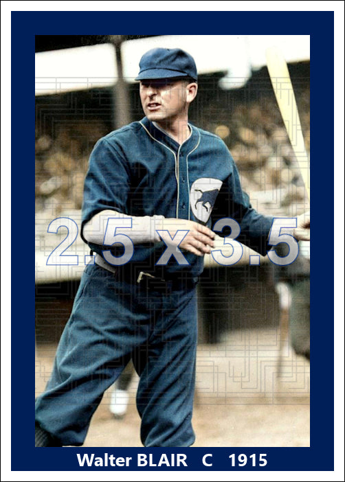 Walter Blair - 1915 Buffalo Blues - choose a size & style
