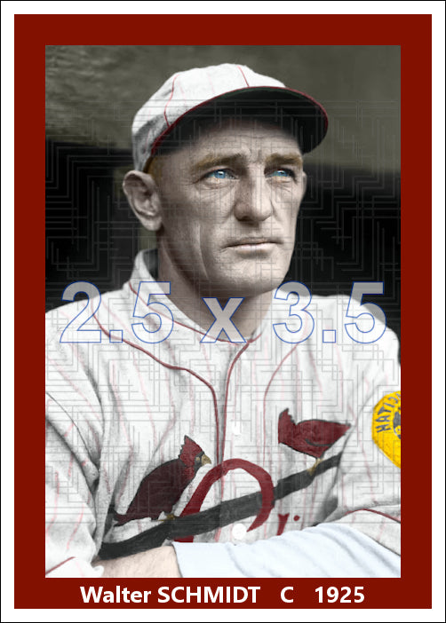 Walter Schmidt - 1925 St. Louis Cardinals - choose a size & style