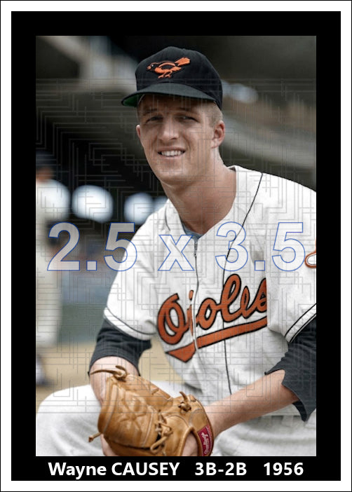 Wayne Causey - 1956 Baltimore Orioles - choose a size & style