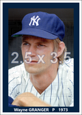Wayne Granger - 1973 New York Yankees - choose a size & style