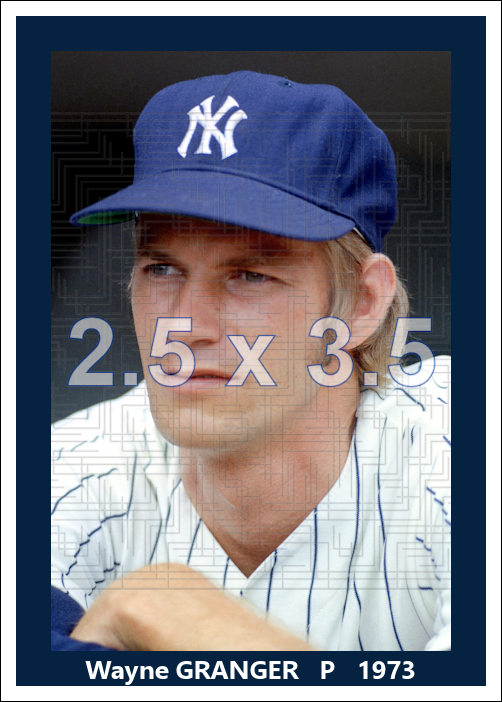 Wayne Granger - 1973 New York Yankees - choose a size & style