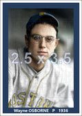Wayne Osborne - 1936 Boston Bees - choose a size & style