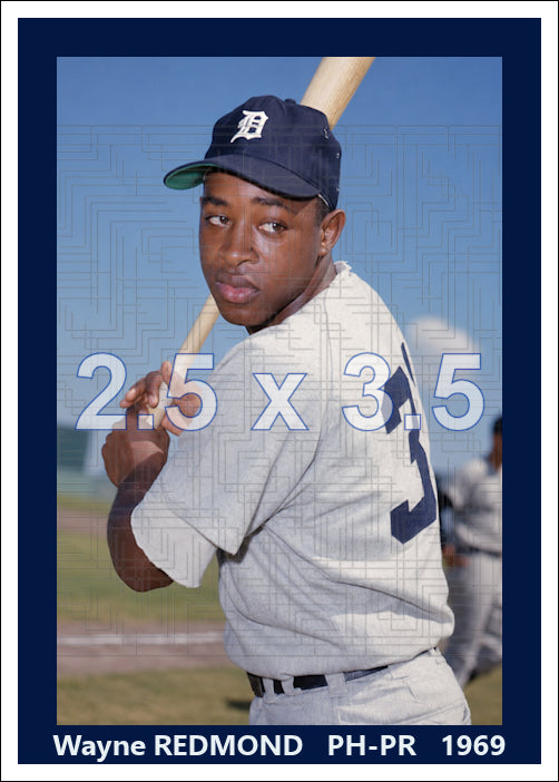 Wayne Redmond - 1969 Detroit Tigers - choose a size & style