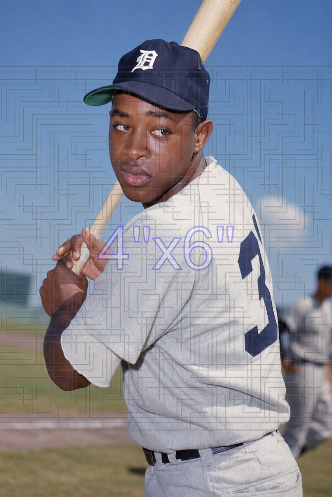 Wayne Redmond - 1969 Detroit Tigers - choose a size & style