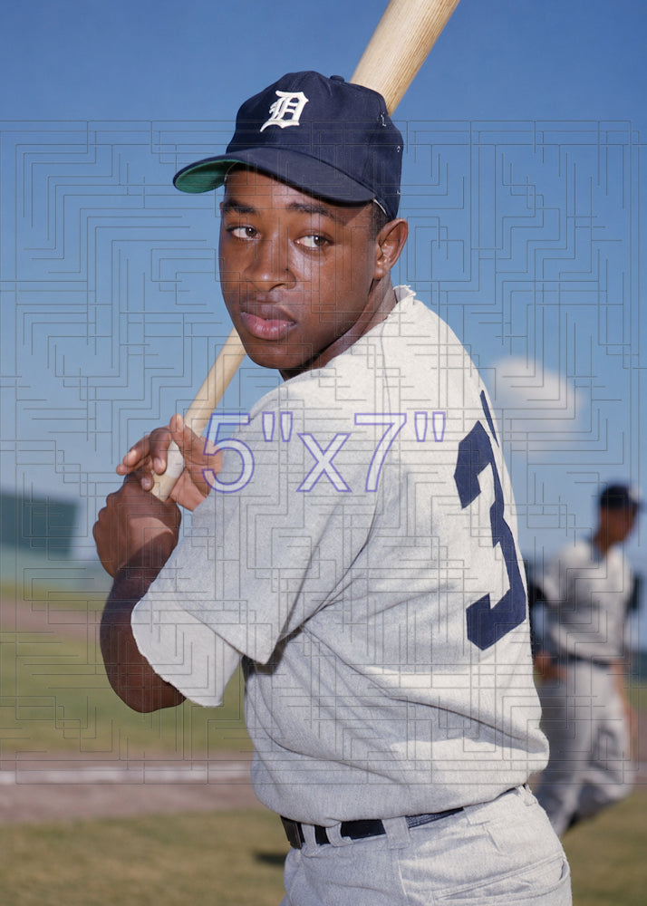 Wayne Redmond - 1969 Detroit Tigers - choose a size & style