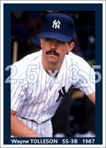 Wayne Tolleson - 1987 New York Yankees - choose a size & style