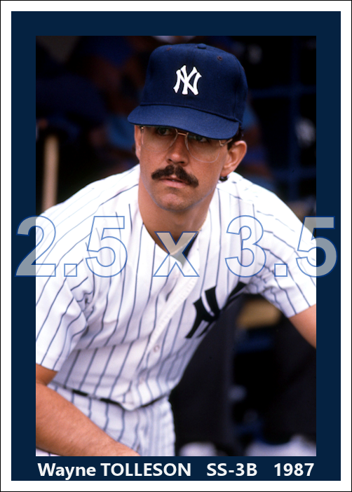 Wayne Tolleson - 1987 New York Yankees - choose a size & style