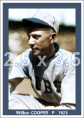 Wilbur Cooper - 1925 Chicago Cubs - choose a size & style
