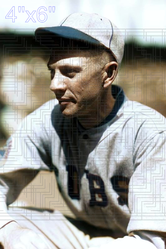 Wilbur Cooper - 1925 Chicago Cubs - choose a size & style