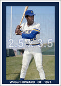Wilbur Howard - 1973 Milwaukee Brewers - choose a size & style
