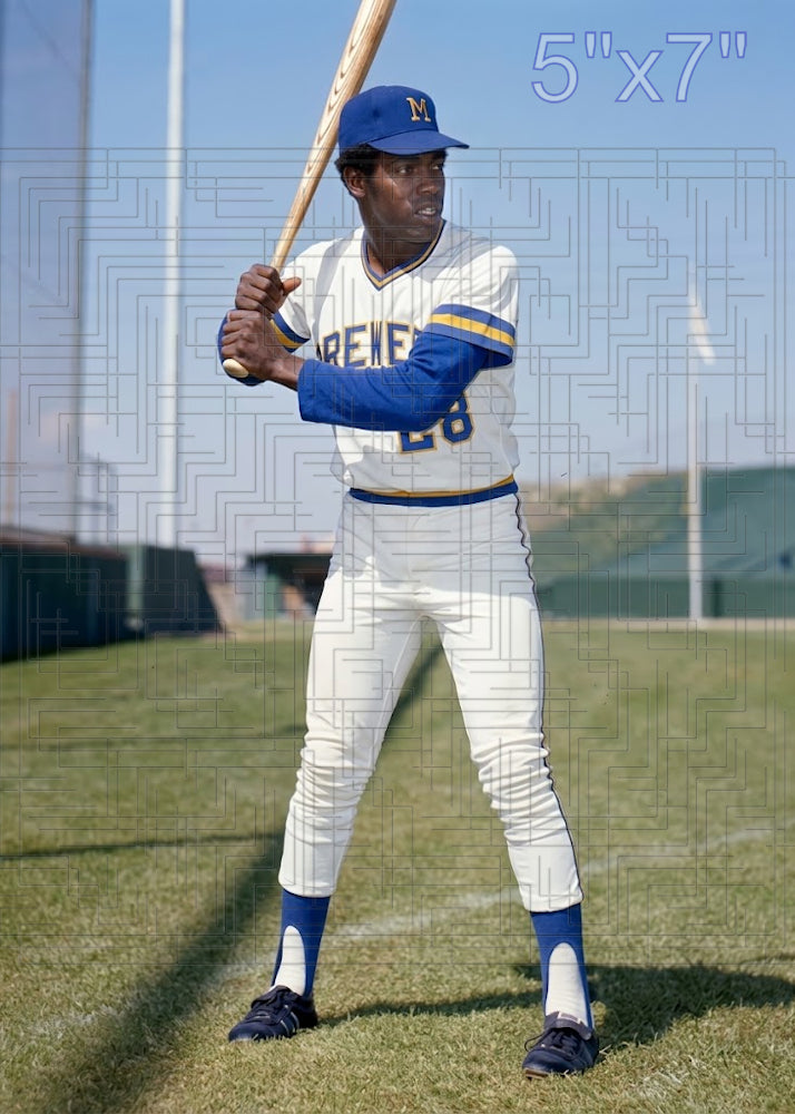 Wilbur Howard - 1973 Milwaukee Brewers - choose a size & style