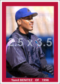 Yamil Benitez - 1998 Arizona Diamondbacks - choose a size & style