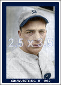 Yats Wuestling - 1930 Detroit Tigers - choose a size & style