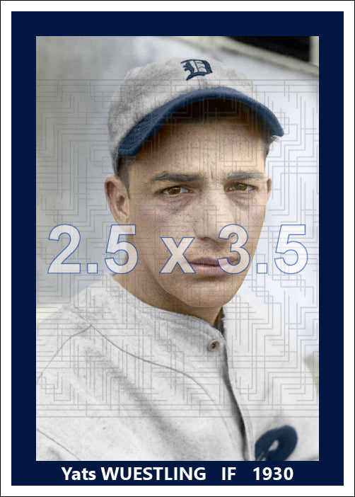 Yats Wuestling - 1930 Detroit Tigers - choose a size & style