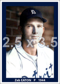 Zeb Eaton - 1944 Detroit Tigers - choose a size & style