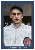 Zeb Terry - 1918 Boston Braves - choose a size & style