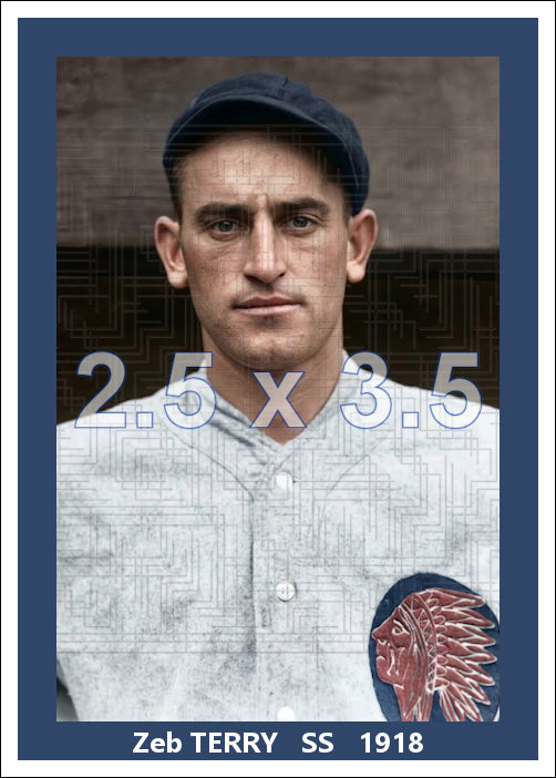 Zeb Terry - 1918 Boston Braves - choose a size & style