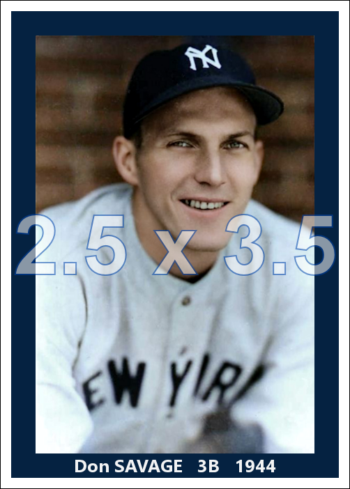Don Savage - 1944 New York Yankees - pose B - choose a size & style